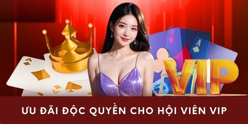 Ưu đãi riêng cho hội viên VIP